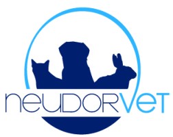 Clinique vétérinaire Neudorvet